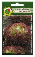 SAŁATA LIŚCIOWA LOLLO ROSSA 1g