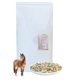 Musli Sport 20 kg - mieszanka paszowa dla koni w intensywnym treningu