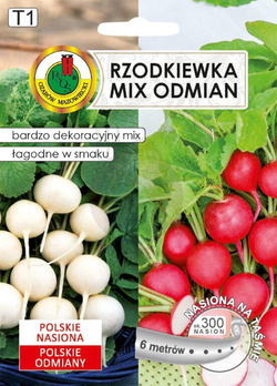 Rzodkiewka Krasa + Śnieżka 6 m