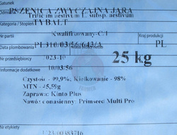 Pszenica jara Tybalt (przewódka) kwalifikat C1