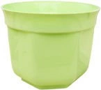 OSŁONKA 15 PISTACJA