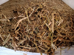 Lucerna balot 9 kg pasza dla koni, krów, owiec