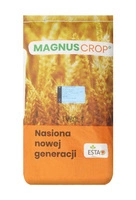 Pszenica Tybalt (przewódka)