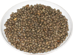 Łubin niebieski paszowy 25kg