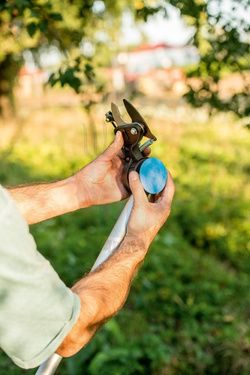 Sekator nożycowy z piłą na wysięgniku IDEAL