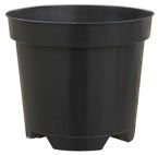 Doniczka produkcyjna 2 L okrągła do uprawy borówki