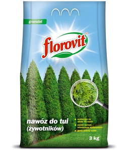Florovit nawóz do Tui 3kg