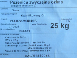 Pszenica ozima Sova nasiona kwalifikat C1