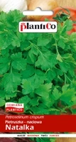 Natalka stem parsley 5 g