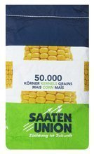 Kukurydza Piaff kwalifikat C1 + Korit 420 FS + Force 20 FC