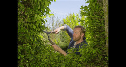 Nożyce do żywopłotu NatureCut