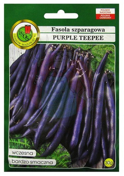 FASOLA SZPARAGOWA PURPLE TEEPEE 30g