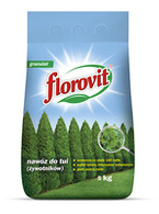 Florovit nawóz do Tui 5 kg