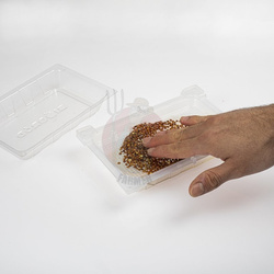 Kiełkownica Zielona Czuprynka z nasionami rzodkiewki (745748)