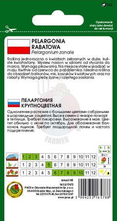 Pelargonia rabatowa F1 biała 10 z