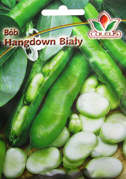 Bób Hangdown biały 50 g