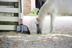 Łopato-grabie Rake Loader ILG2