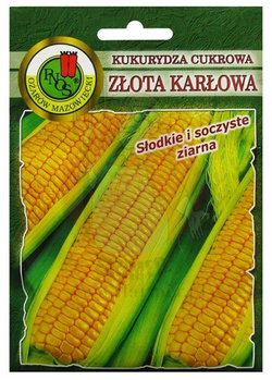 KUKURYDZA CUKROWA ZŁOTA KARŁOWA 20g