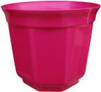 OSŁONKA 20 AMARANT PERŁA