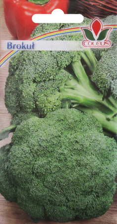 Brokuł Limba 0,5 g nasiona Coleus