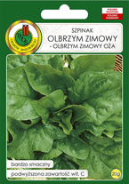 Szpinak Olbrzym Zimowy Oża 20 g PNOS