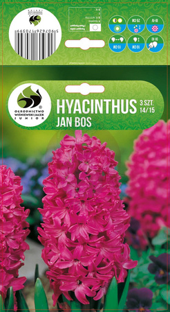 HIACYNT JAN BOS 14/15 3 SZT