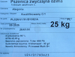 Pszenica ozima Alegoria nasiona kwalifikat C1