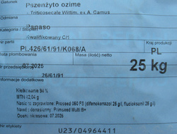 Pszenżyto ozime Panaso