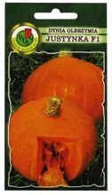 DYNIA OLBRZYMIA JUSTYNKA F1 2g