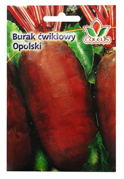 Burak ćwikłowy Opolski 10 g