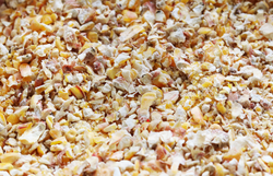 Kukurydza sucha gnieciona Corn Energy 30 kg