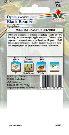 Dynia zwyczajna cukinia Black Beauty 2 g nasiona Coleus