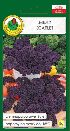 Jarmuż czerwony Scarlet 5 g PNOS