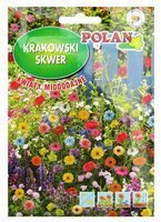 Krakowski Skwer - kwiaty miododajne 30 g