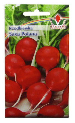 RZODKIEWKA SAXA POLANA 10g