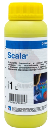 Scala 1 L