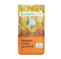 Pszenica ozima Alegoria nasiona kwalifikat C1