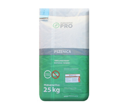 Pszenica ozima Elektra