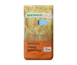 Pszenica ozima Petronela nasiona kwalifikat C1