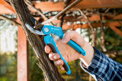 Sekator kowadełkowy IDEAL