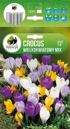 KROKUS MIX WIELOKWIATOWY 7-8 8SZT.