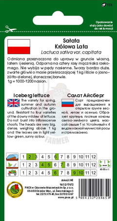 Sałata głowiasta krucha królowa lata 1 g