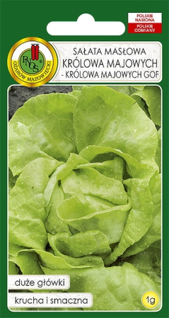 Sałata masłowa Królowa Majowych GOF 1 g PNOS