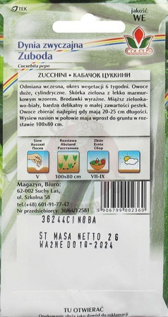 DYNIA ZWYCZAJNA ZUBODA 2g