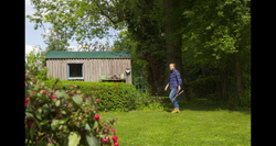 Nożyce do żywopłotu NatureCut