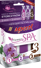 Flower SPA - kuracja dla storczyków