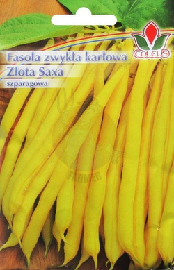 FASOLA SZPARAGOWA ZWYKŁA KARŁOWA ZŁOTA SAXA 50g