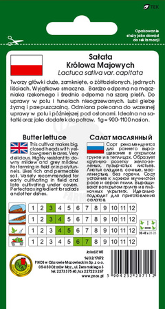 Sałata masłowa Królowa Majowych GOF 1 g PNOS