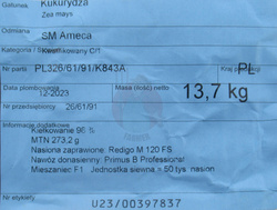 Kukurydza siewna Ameca kwalifikat C1