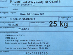 Pszenica ozima Iskra nasiona kwalifikat C1